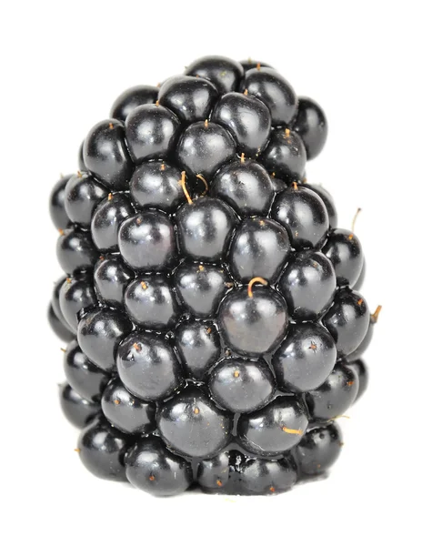 Succosa Blackberry Close-Up — Foto Stock