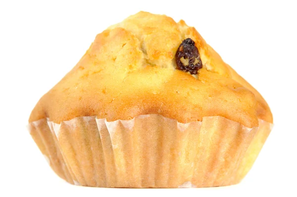 Rozijn muffin — Stockfoto