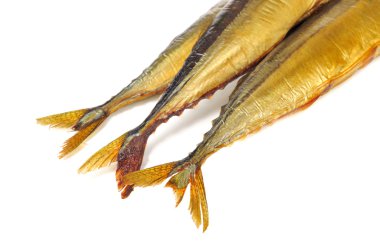 Smoked Saury Tails clipart