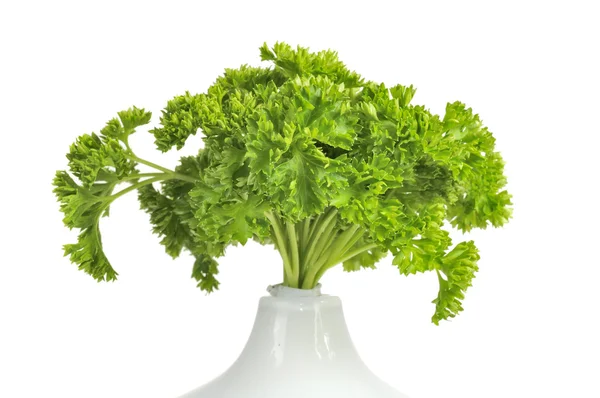 Curly Parsley in Vase — Stock Photo, Image