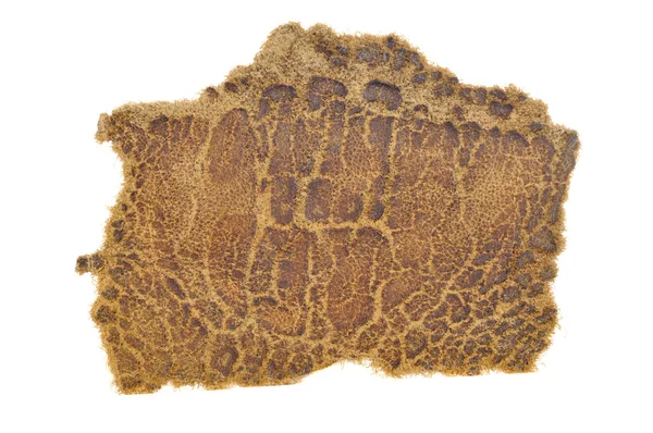 Kahverengi deri eski kırık parçası — Stok fotoğraf