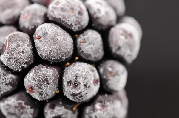 Frozen Blackberry Close-Up — Stock Photo, Image