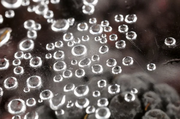 Kapky vody a zmrazené bobule — Stock fotografie
