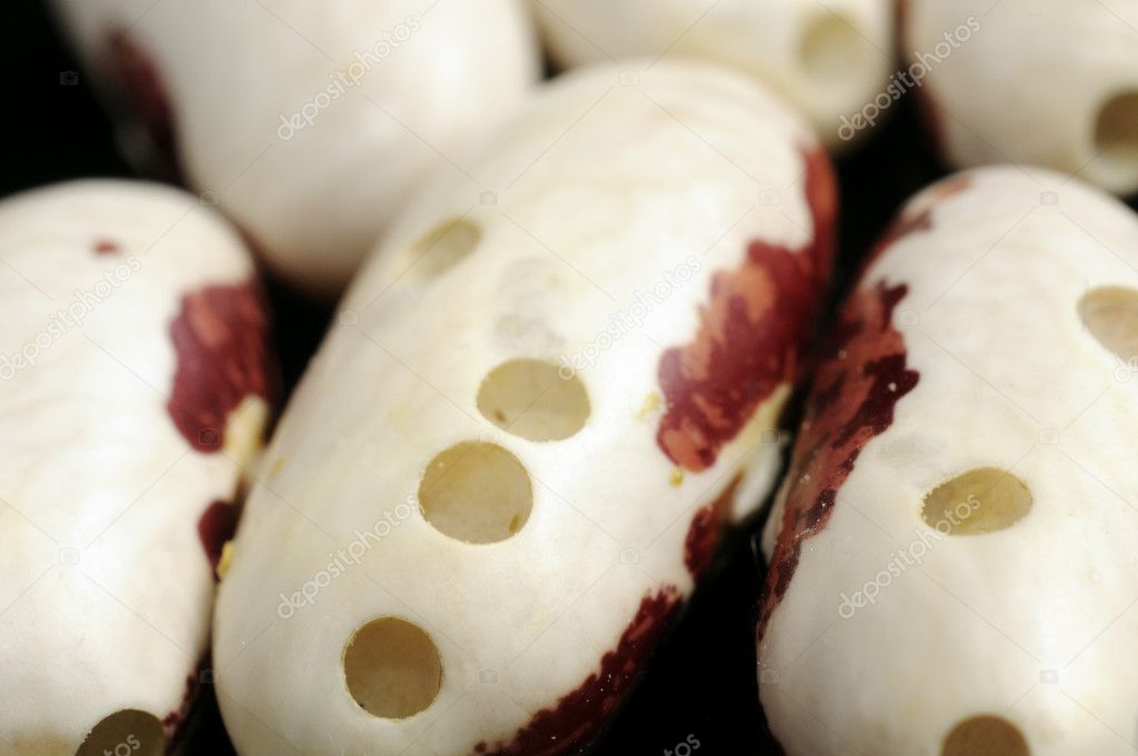 Kidney Beans Damaged by Bugs