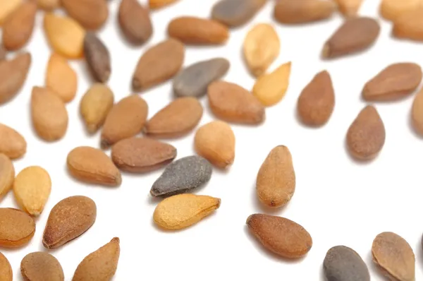 Sezamová semena makro na bílém pozadí — Stock fotografie
