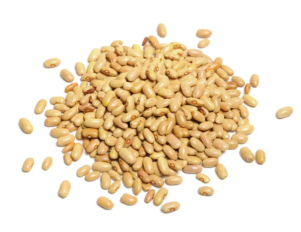 Kidney Beans Isolated on White Background — Stock Photo, Image
