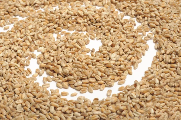 stock image Wheat Grains with Spiral