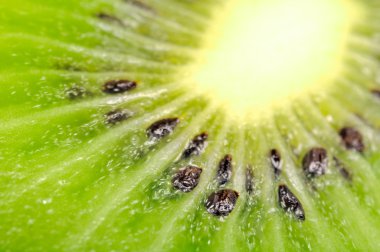 Kiwi Extreme Macro clipart