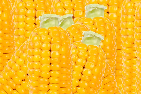 Жовта кукурудза фону — стокове фото