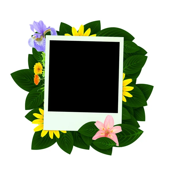 Foto em branco com flores e folhas verdes — Fotografia de Stock