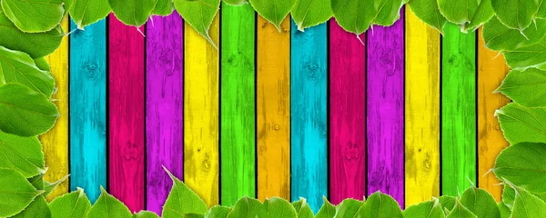 Vibrant fond d'été - planches en bois multicolores et feuilles vertes — Photo