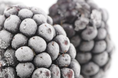 Frozen Blackberries Macro clipart