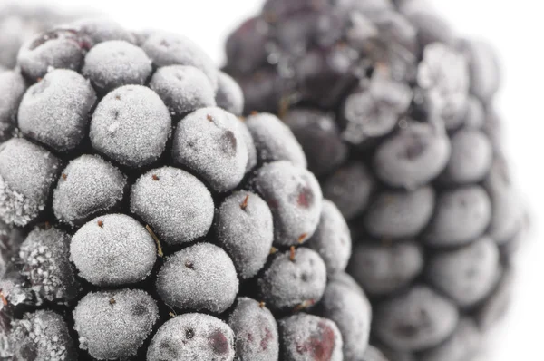 Замороженные черные ягоды — стоковое фото