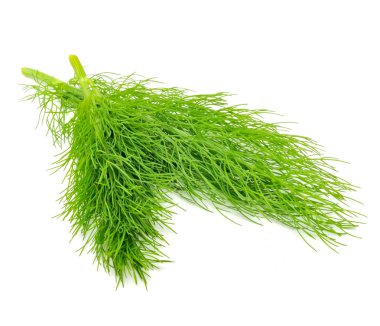 Fennel Isolated on White Background clipart