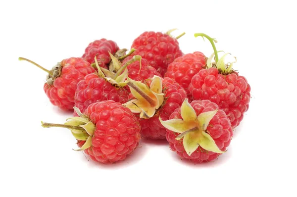 Red Raspberries Isolated on White Background — Stock Photo, Image