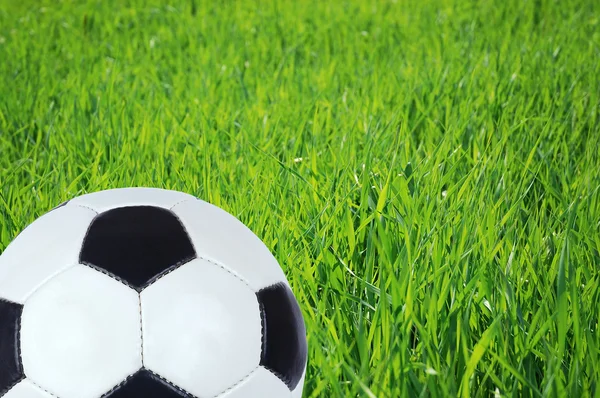 Soccer ball on the green field — Stock Photo, Image