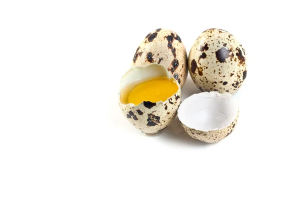 Ovos de codorna isolados — Fotografia de Stock