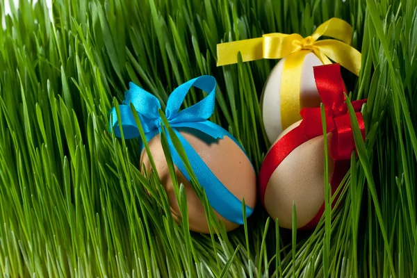 Пасхальные яйца в траве Стоковое Изображение
