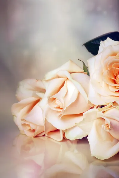 Krem róż — Zdjęcie stockowe