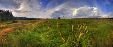 Yaz panoramik manzara