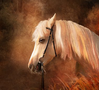 Horse portrait clipart