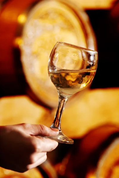 stock image Hand holds a glass of wine