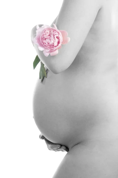 Schwangere hält ihren Bauch und ihre Blume — Stockfoto