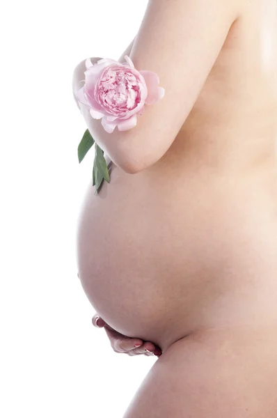 Onun göbek ve çiçek tutan hamile kadın — Stok fotoğraf