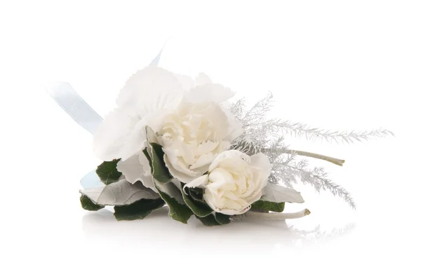 Bellissimi fiori su uno sfondo bianco — Foto Stock