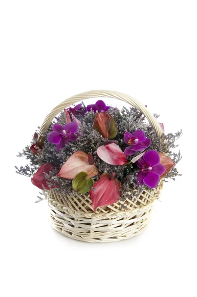 Arreglo floral en cesta — Foto de Stock