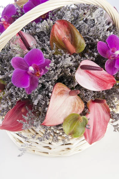 Aranžování květin v košíku — Stock fotografie