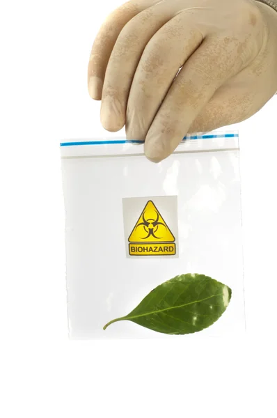Hand holds packet with green leaf and symbol biohazard. — Stock Photo, Image