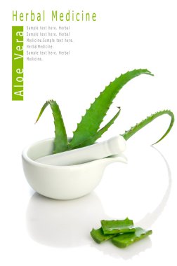 aloe vera bitkisel ilaç