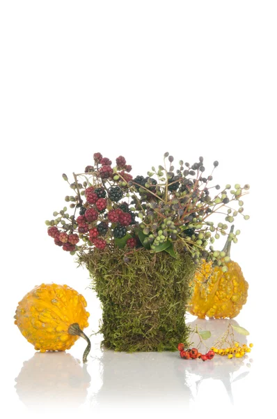 Оригинальный букет цветов — стоковое фото