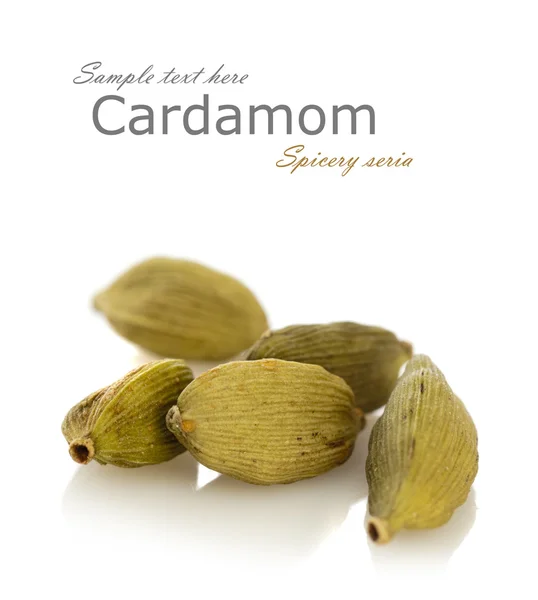 Cardamom — Stock Photo, Image