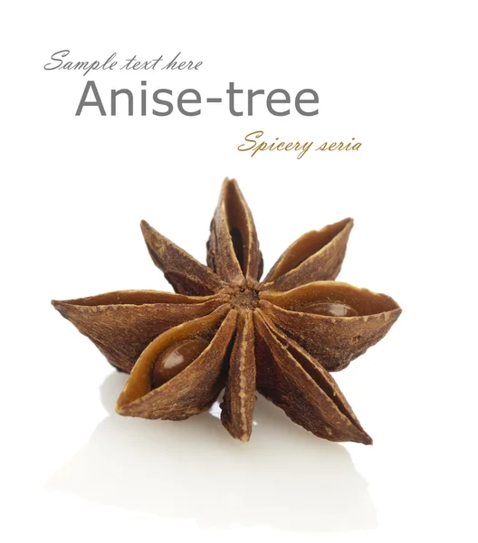 Anise star — Stock Photo, Image