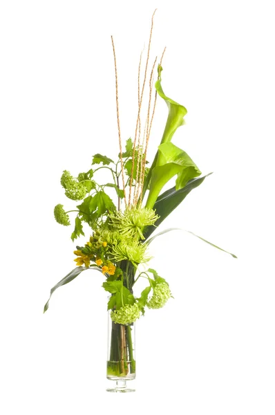 녹색 alepes kalla 꽃다발 — 스톡 사진