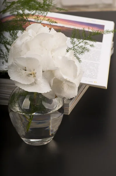 수 국 꽃 boquet — 스톡 사진
