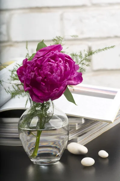Piwonia kwiat boquet — Zdjęcie stockowe
