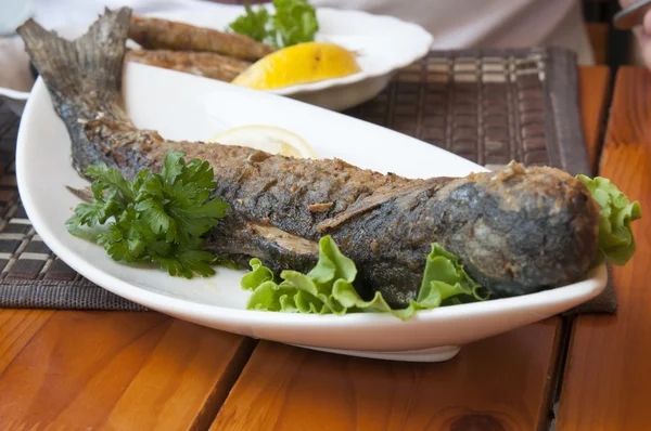 Grillad pelengas fisk — Stockfoto