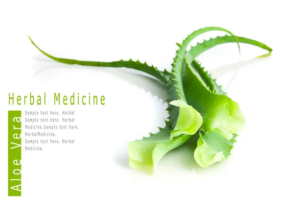 Aloe vera örtmedicin — Stockfoto