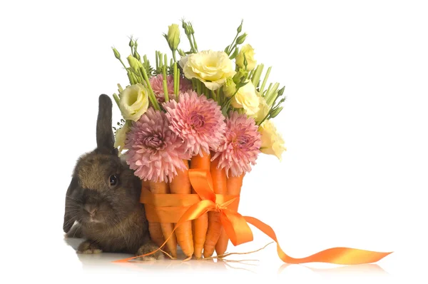 Rabbit with flower decoration — Stock Photo, Image