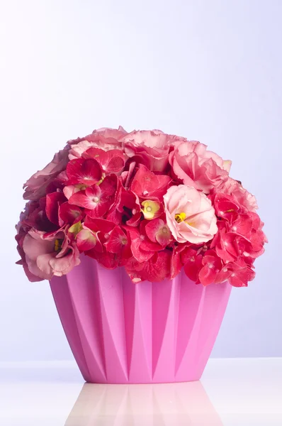 Bouquet of pink flowers — Stock Photo, Image