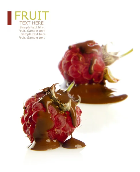 Framboesa vermelha com chocolate — Fotografia de Stock