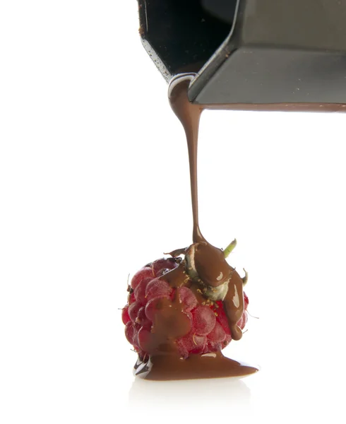 Червона малина з шоколадом — стокове фото
