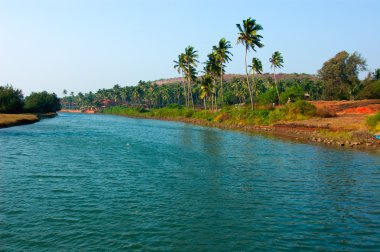 Goa mandrem beach