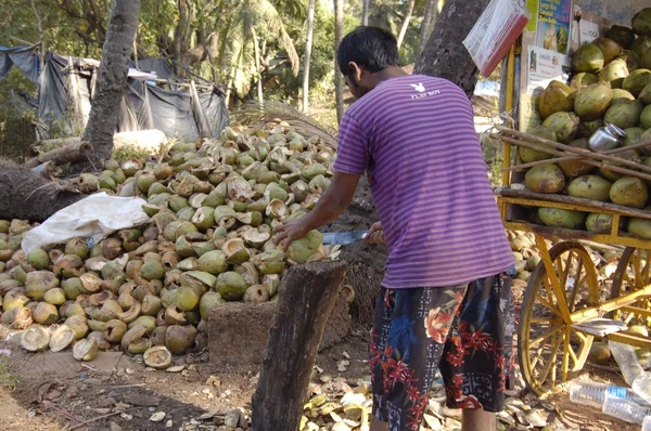Worker peeling coconut — Stock Photo, Image