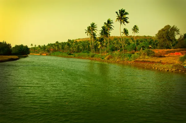 La playa de Mandrem en Goa — Foto de stock gratuita