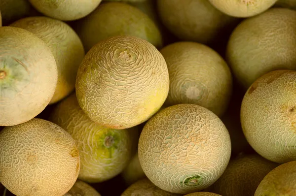 Melon — Darmowe zdjęcie stockowe