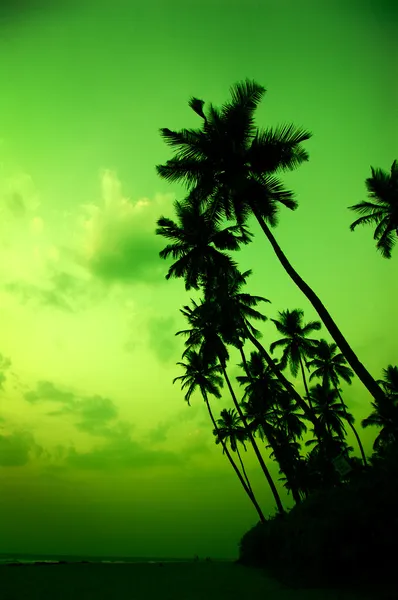 阿朗博尔海滩 — 免费的图库照片